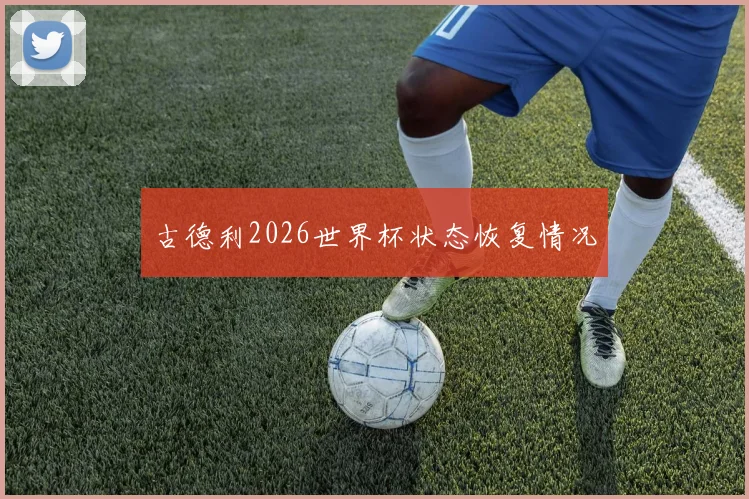 古德利2026世界杯状态恢复情况