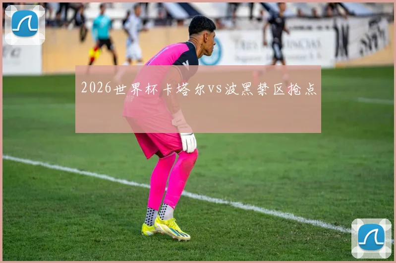 2026世界杯卡塔尔vs波黑禁区抢点