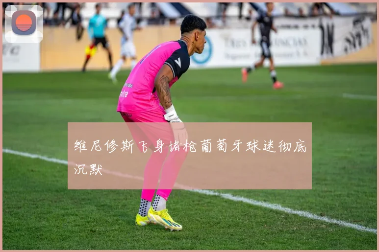 维尼修斯飞身堵枪葡萄牙球迷彻底沉默