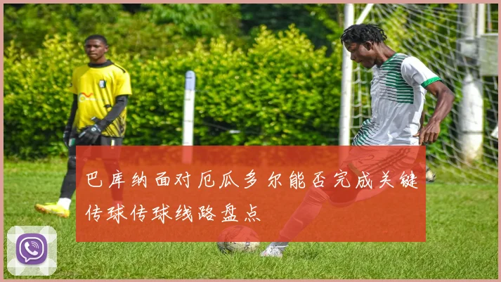 巴库纳面对厄瓜多尔能否完成关键传球传球线路盘点